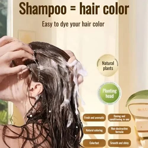 Japanese Natural Hair Dye Shampoo
