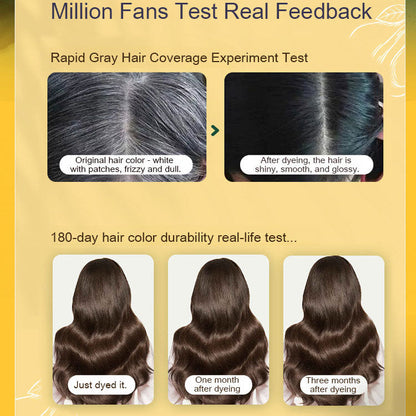 Japanese Natural Hair Dye Shampoo