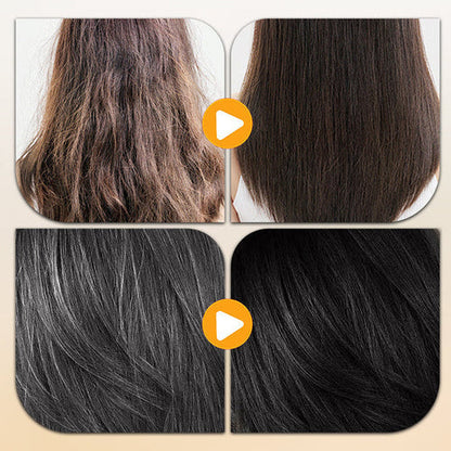 Japanese Natural Hair Dye Shampoo